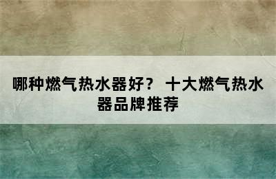 哪种燃气热水器好？ 十大燃气热水器品牌推荐